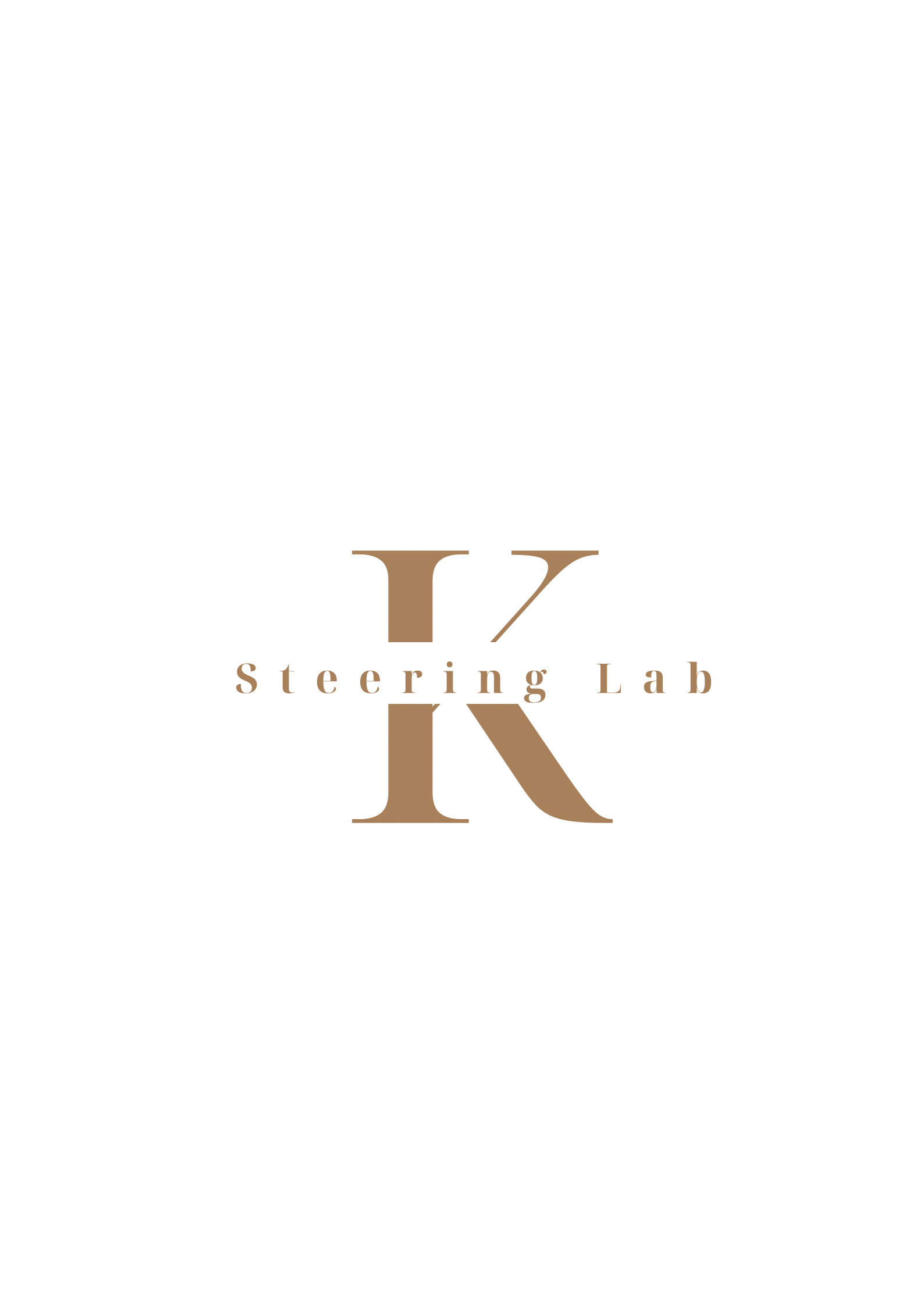 K Steering Lab